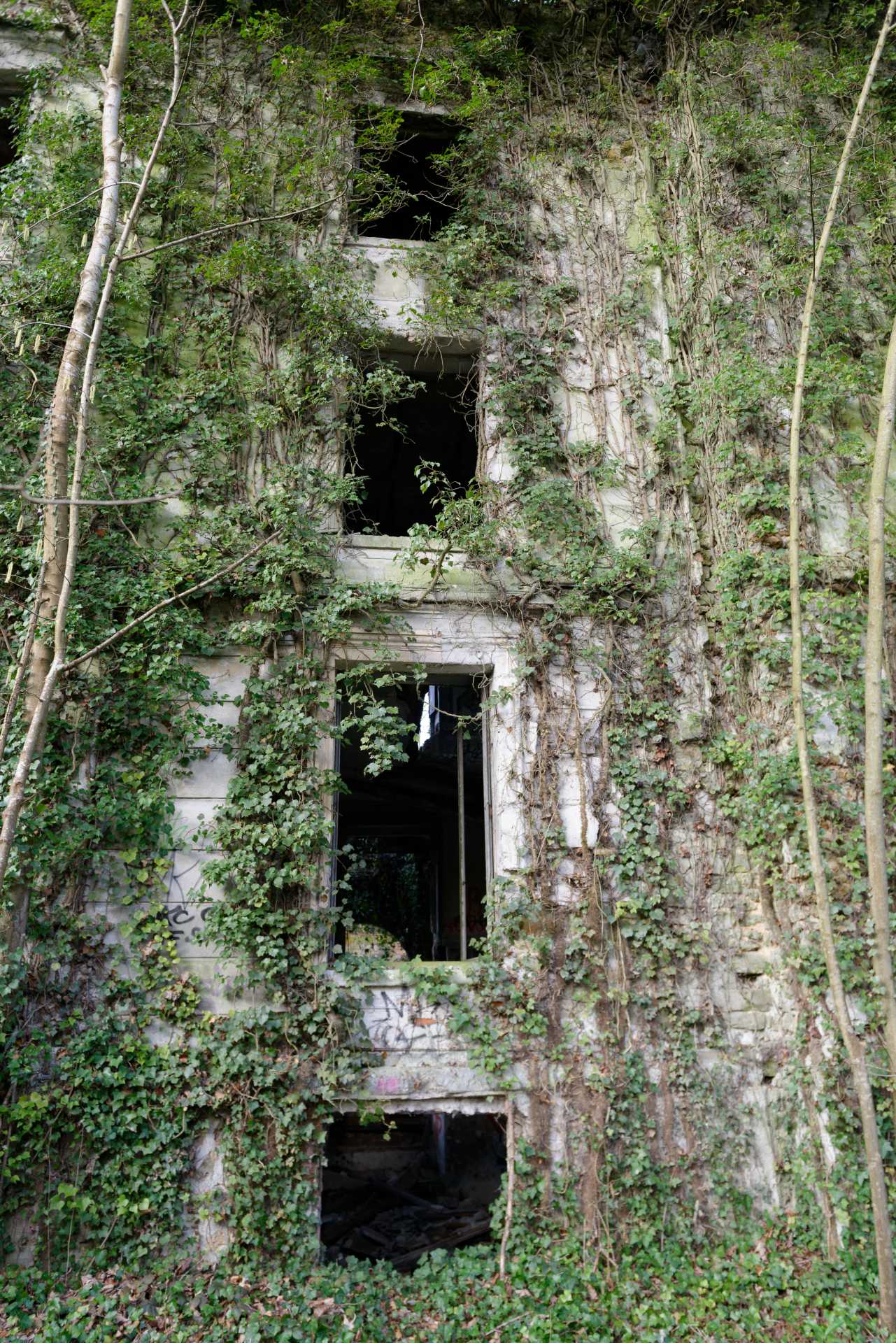 Châteaux en ruines