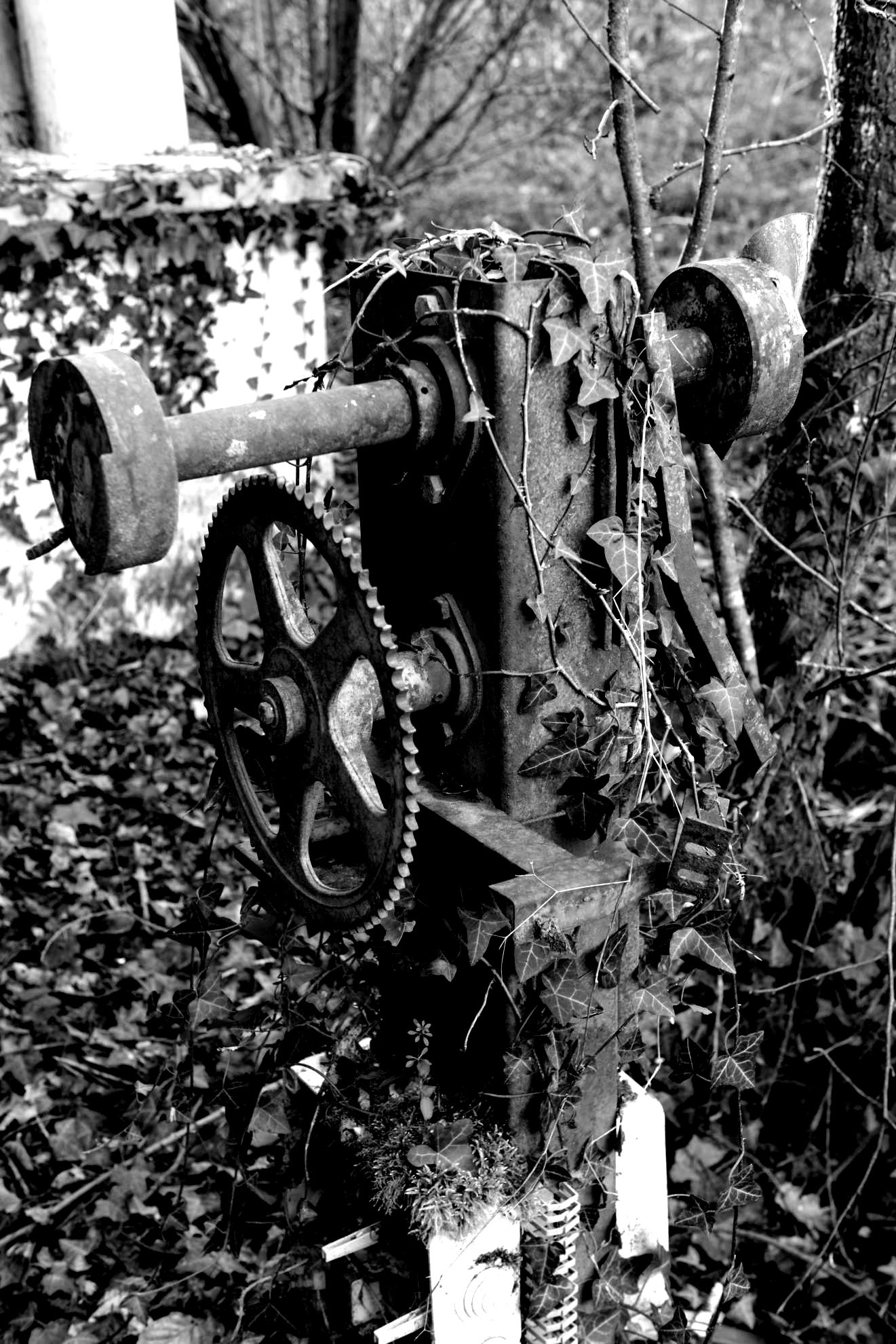 Usine en noir et blanc