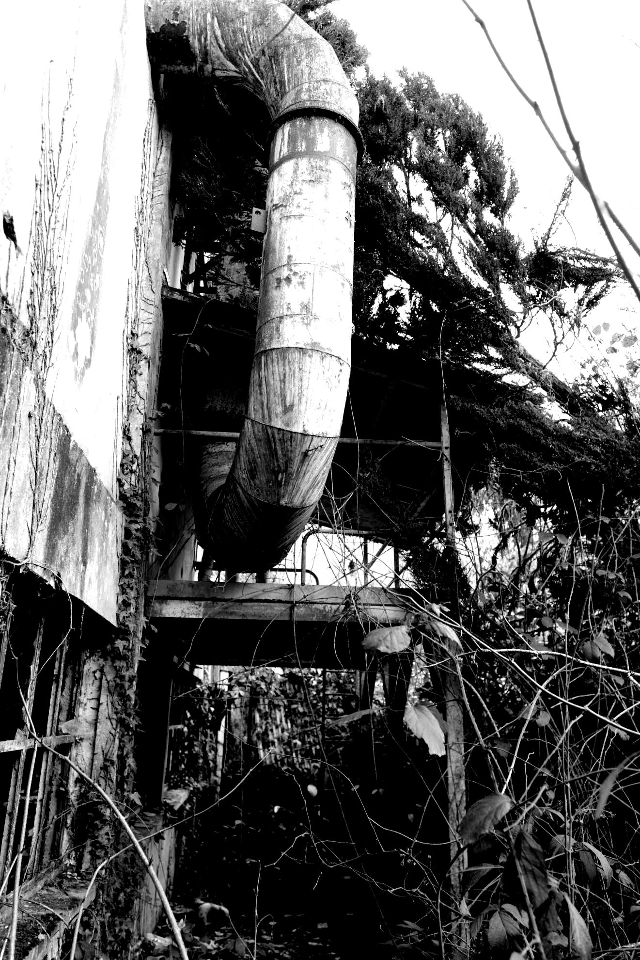 Usine en noir et blanc