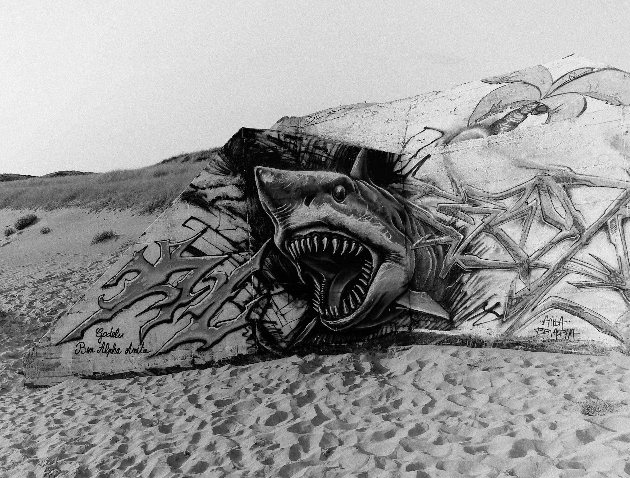 Blockhaus Noir et Blanc