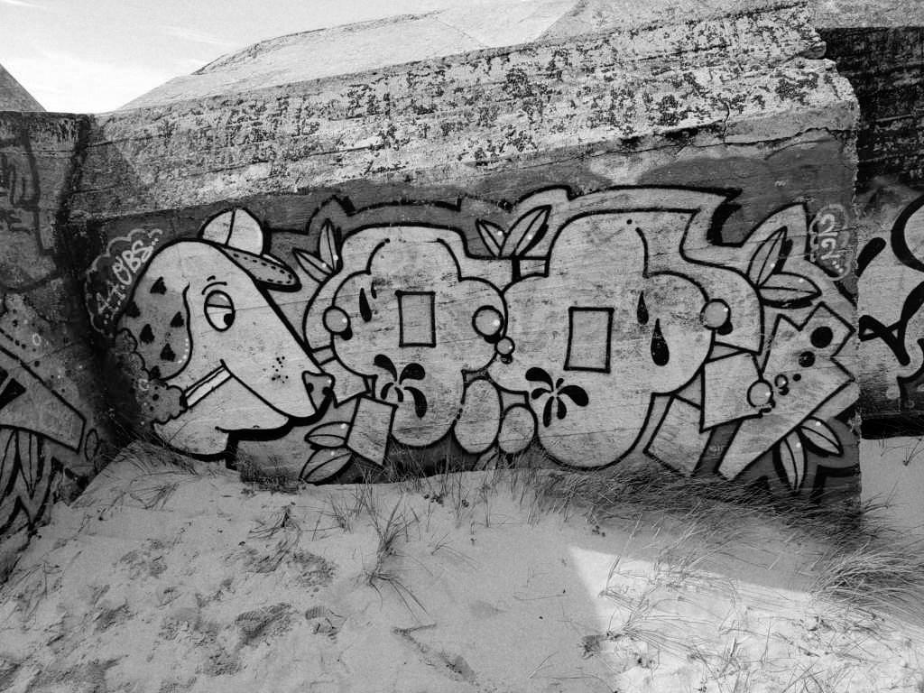 Blockhaus Noir et Blanc