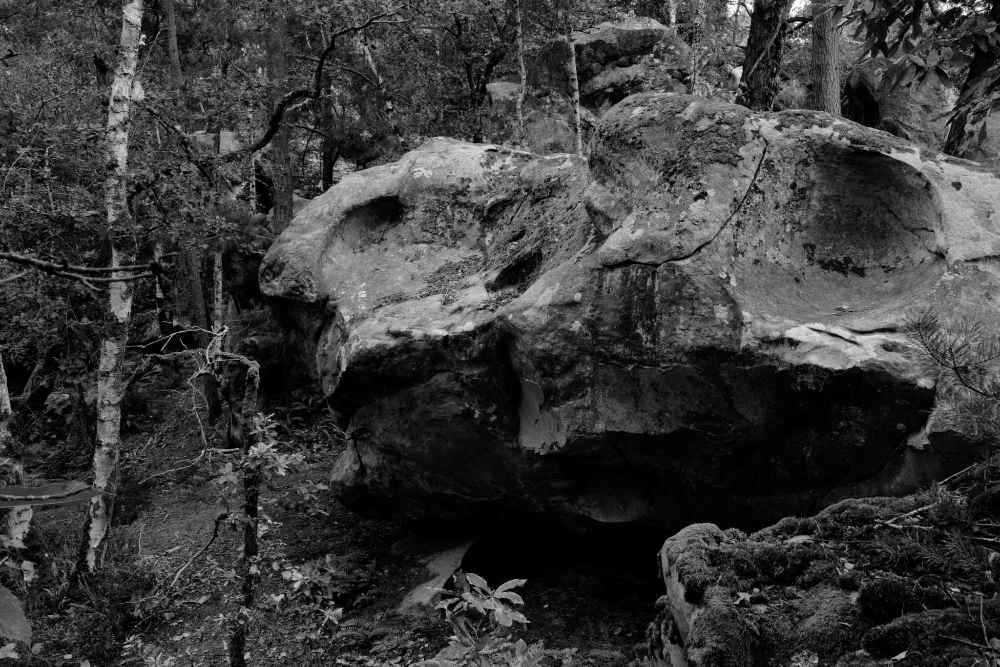 Rochers Noir et blanc