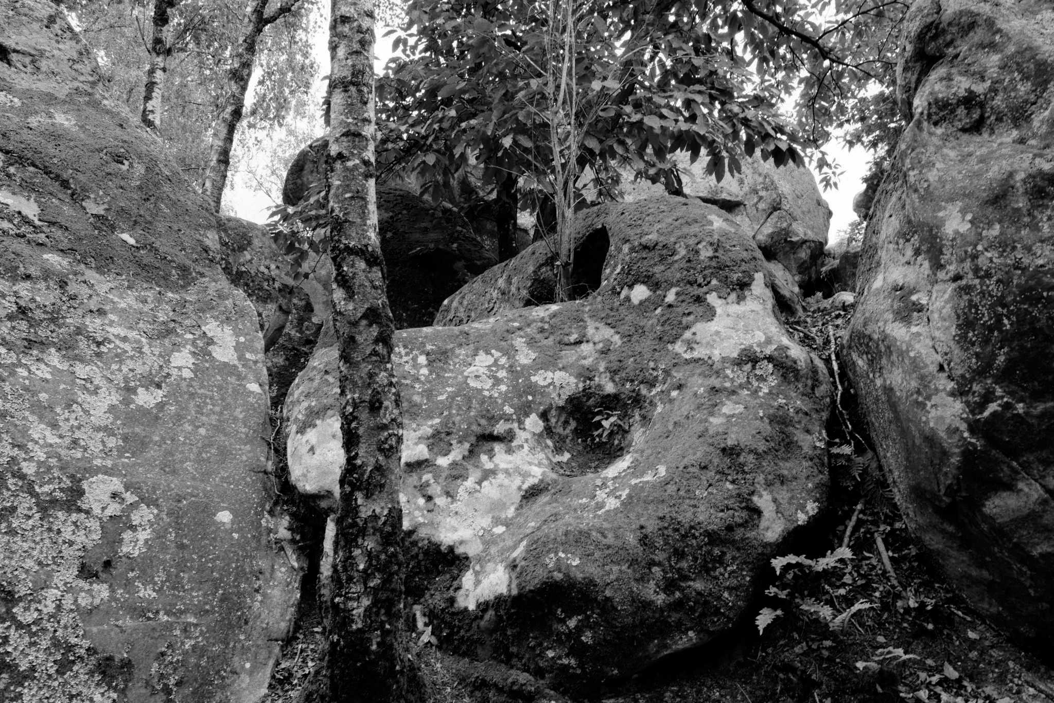 Rochers Noir et blanc