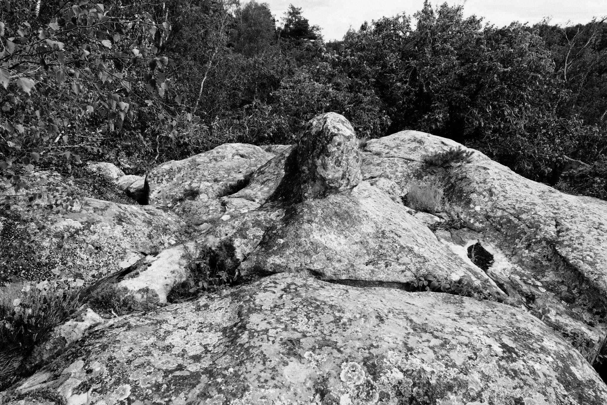 Rochers Noir et blanc