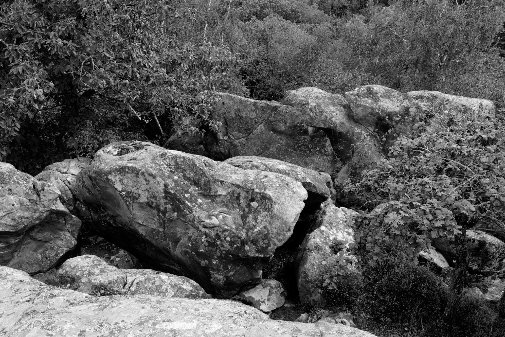 Rochers Noir et blanc
