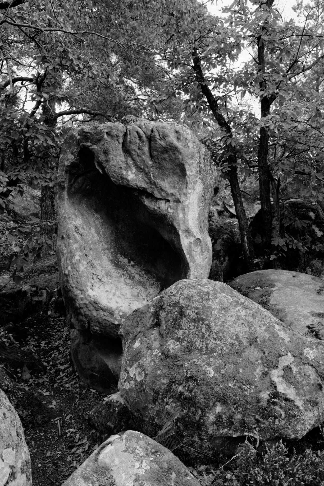 Rochers Noir et blanc