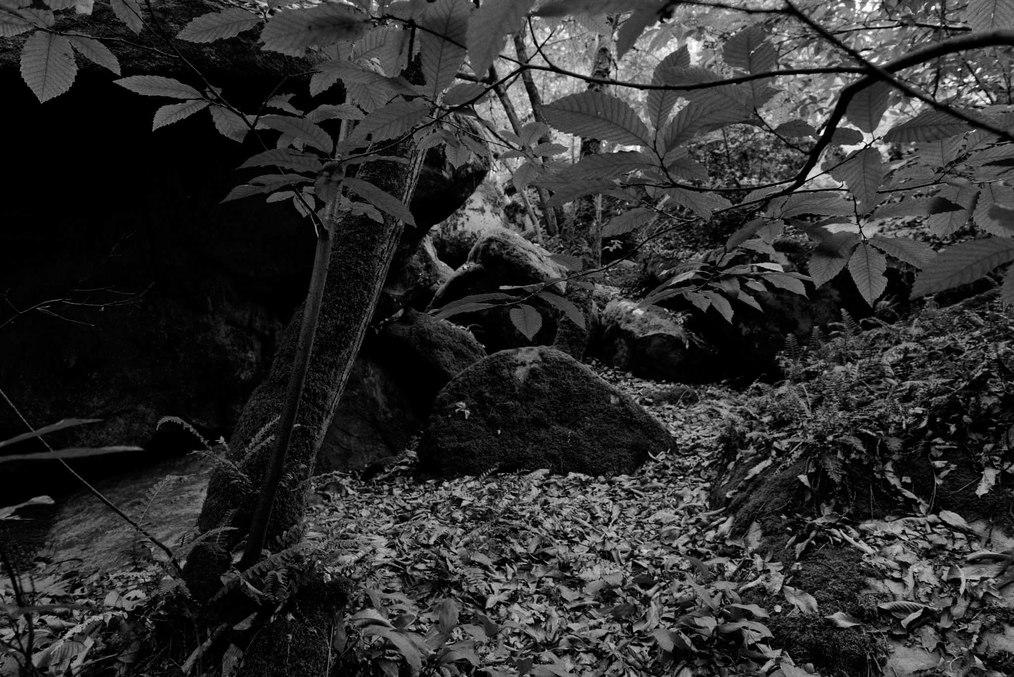 Rochers Noir et blanc