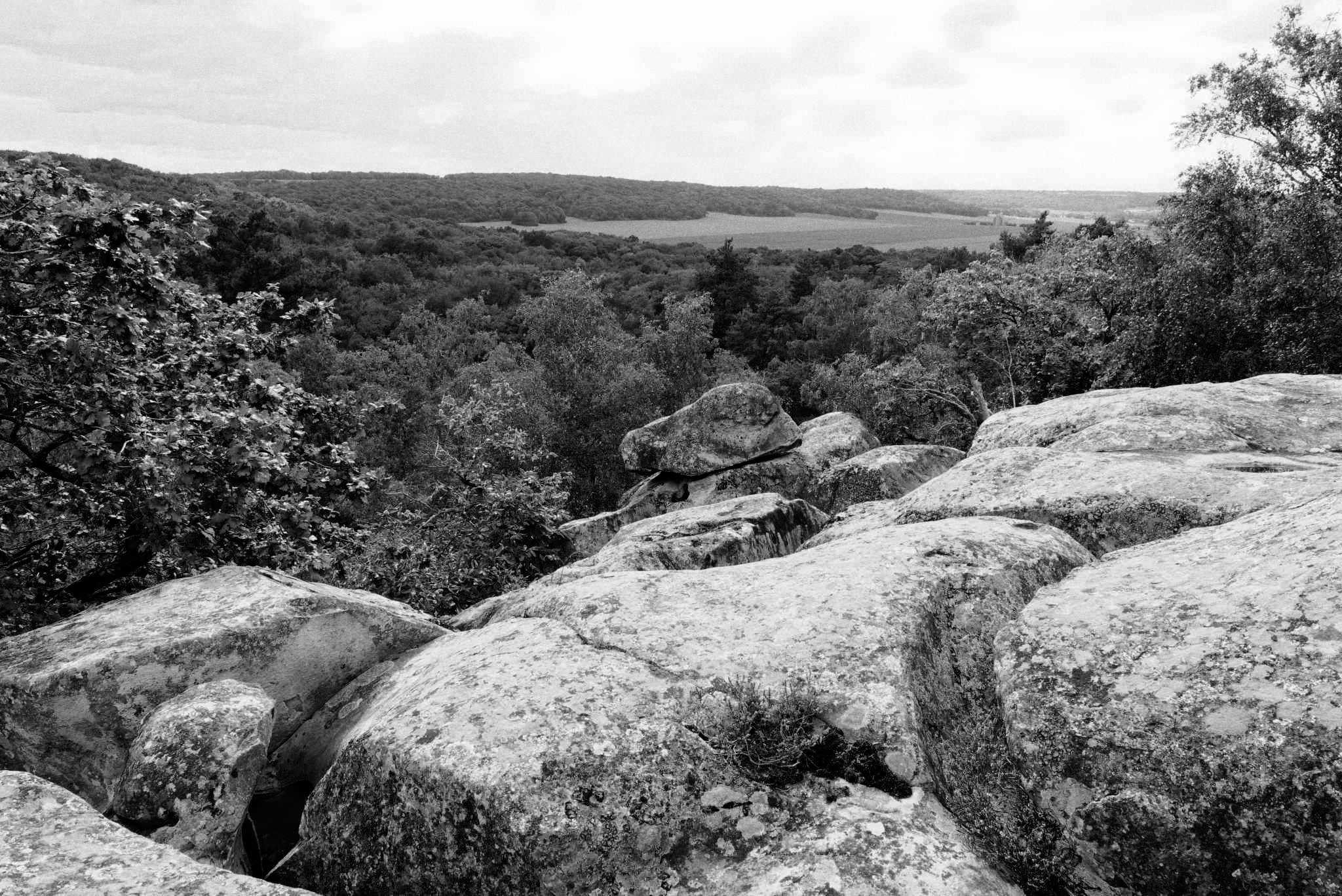 Rochers Noir et blanc