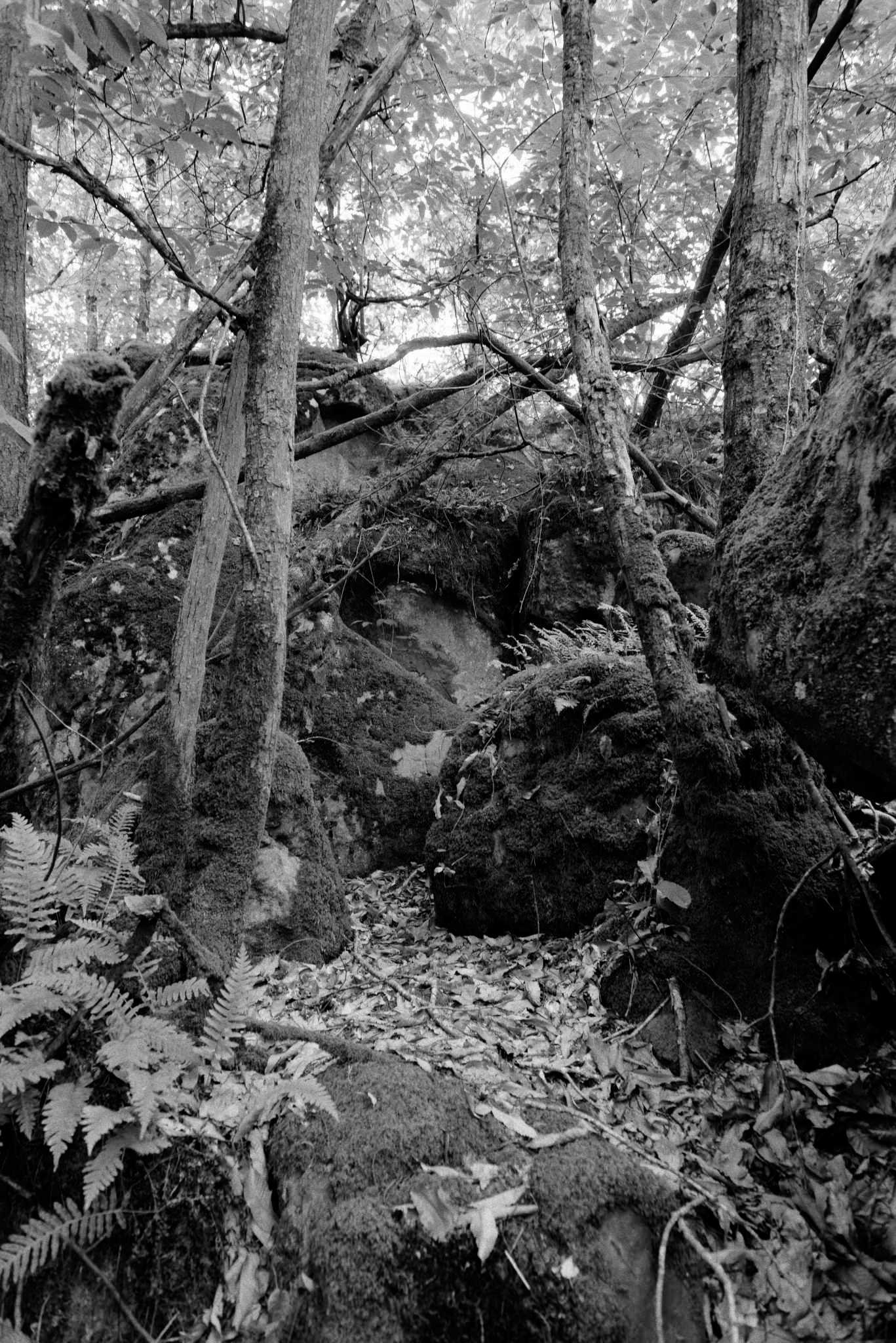 Rochers Noir et blanc