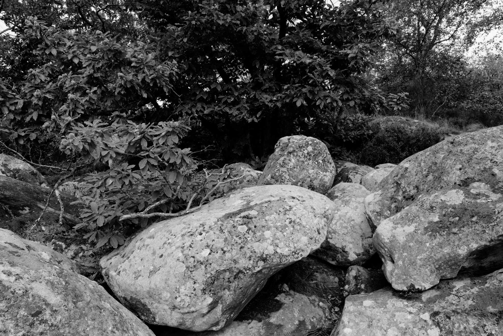 Rochers Noir et blanc