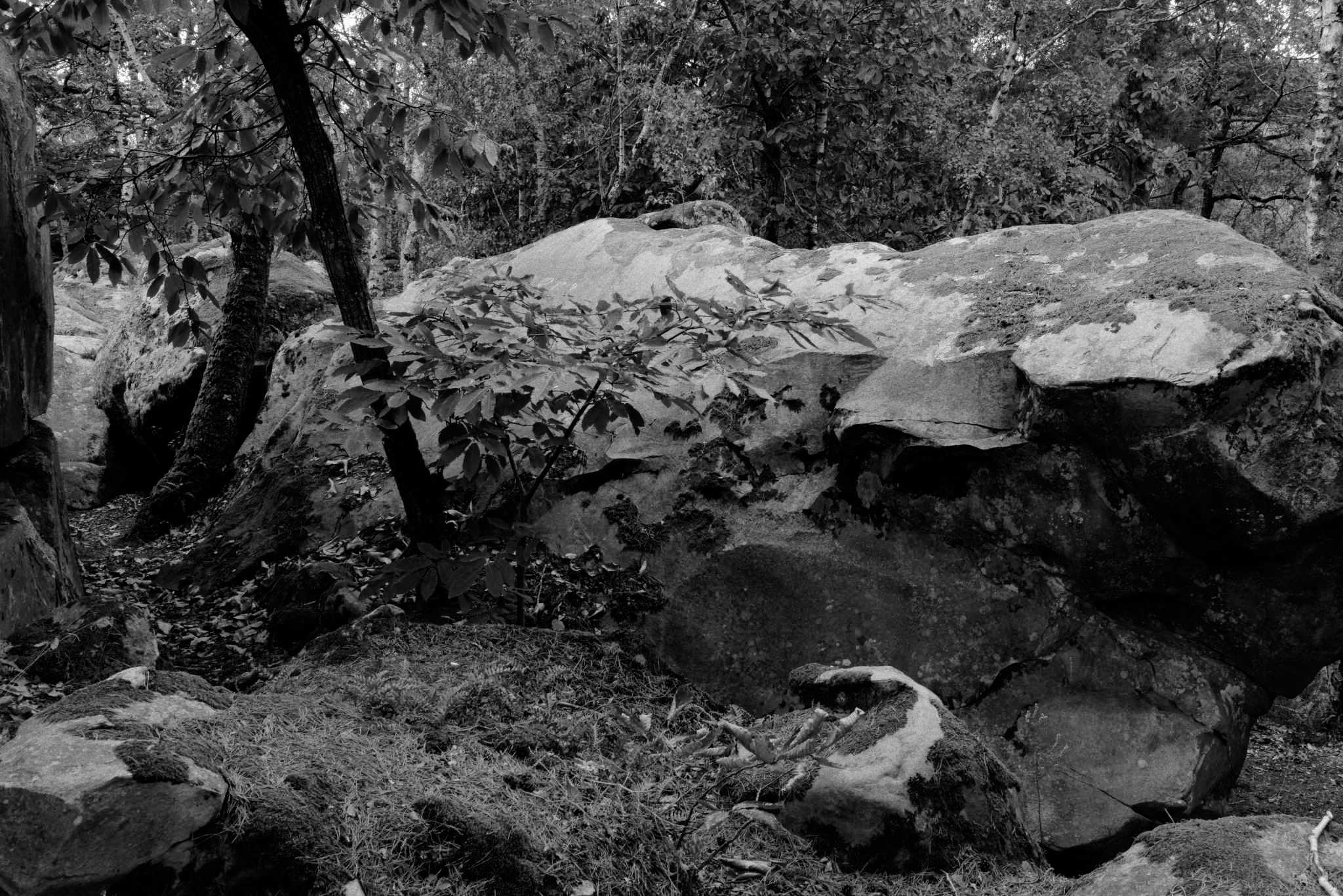Rochers Noir et blanc